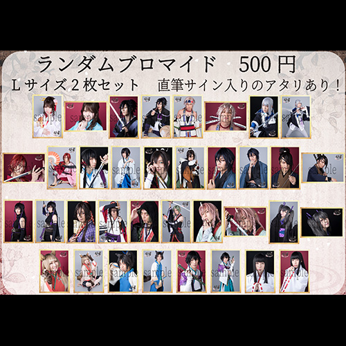 キャストランダムブロマイドL版2枚セット